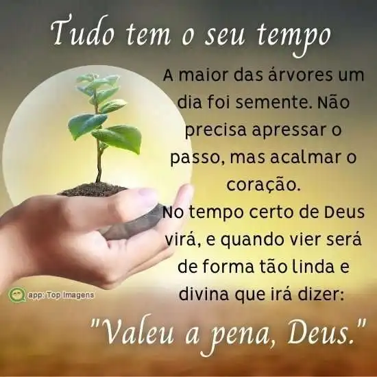 Tudo tem seu tempo
