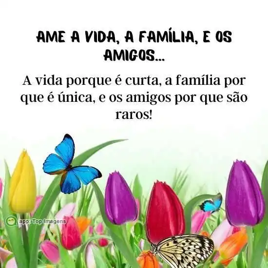 Vida, família e amigos