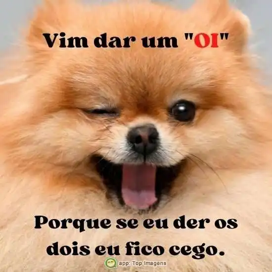 Vim dar um oi