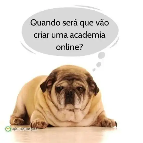 Academia online