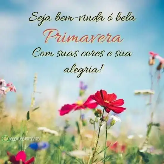 Bem-vinda primavera - Imagens Diárias - 20354 Bem-vinda primavera - Imagens Diárias - 20354