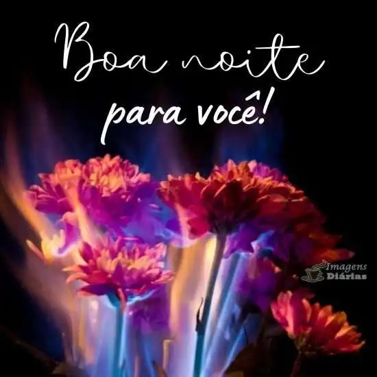 Boa noite