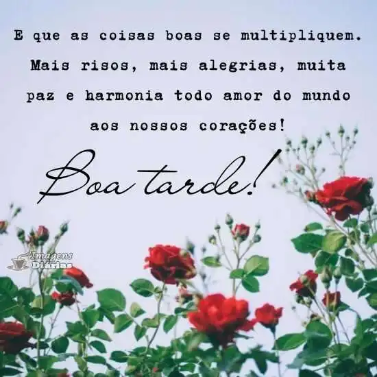 Boa tarde