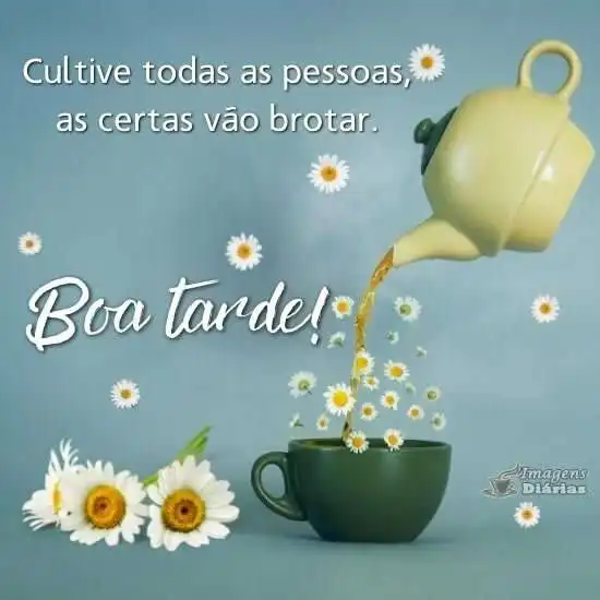 Boa tarde