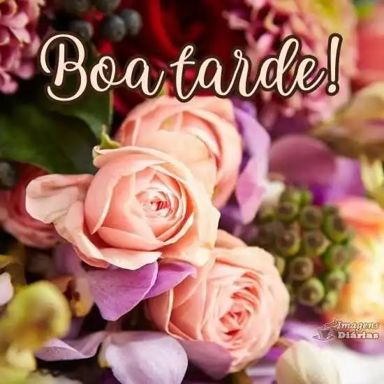 Boa tarde
