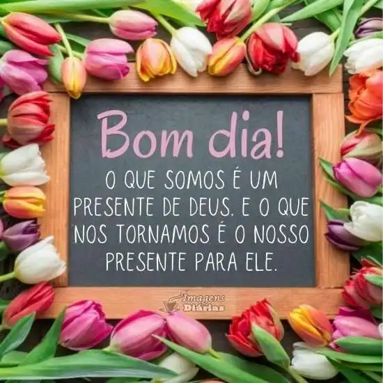 Bom dia