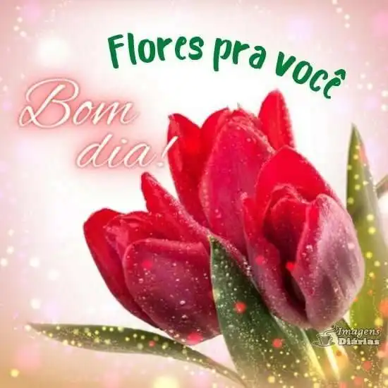 Bom dia