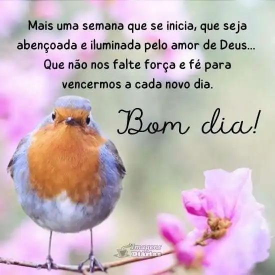 Bom dia