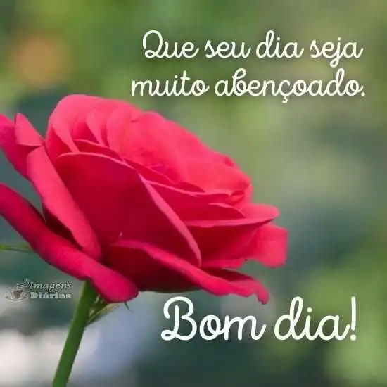Bom dia
