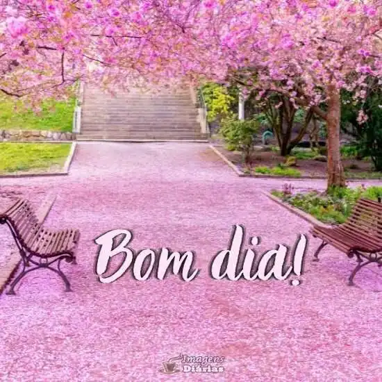 Bom dia - Imagens Diárias - 20693 Bom dia - Imagens Diárias - 20693