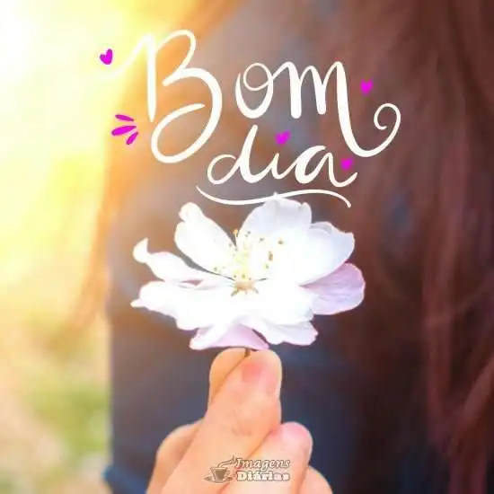 Bom dia