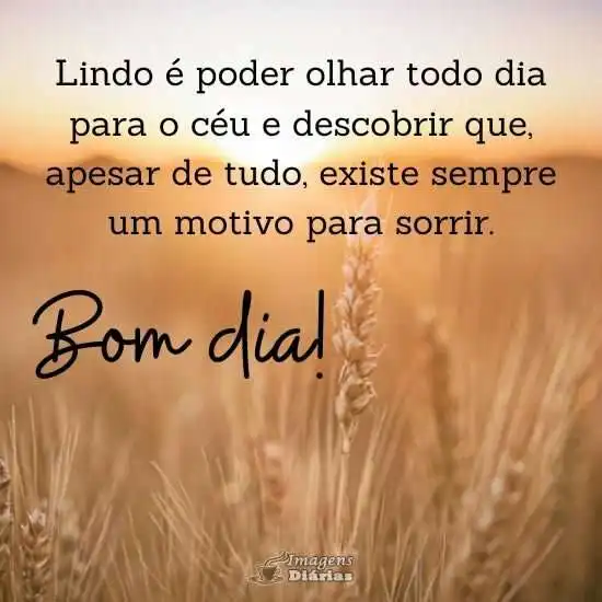 Bom dia