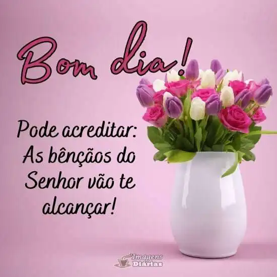 Bom dia