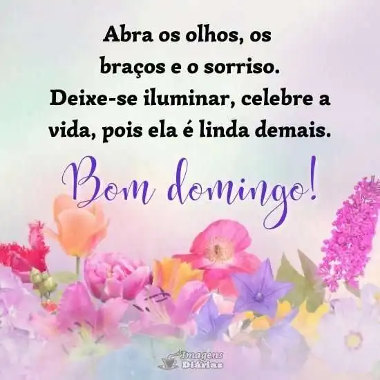 Bom domingo
