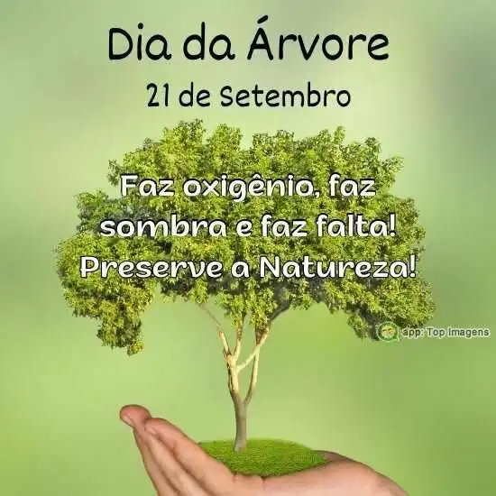 Dia da árvore
