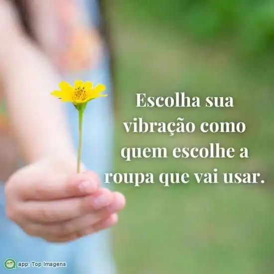 Escolha sua vibração