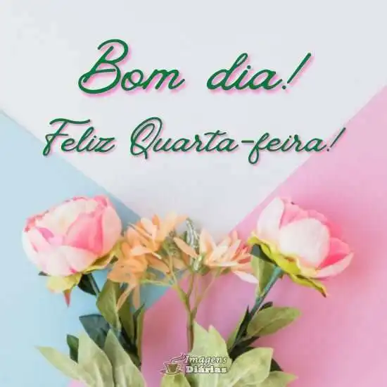 Feliz Quarta-feira