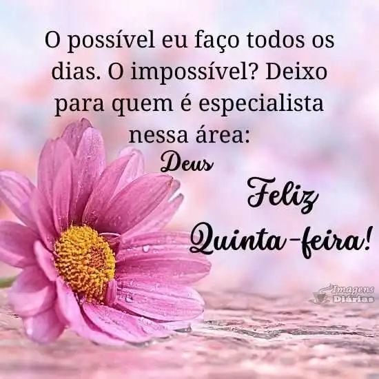 Feliz quinta-feira