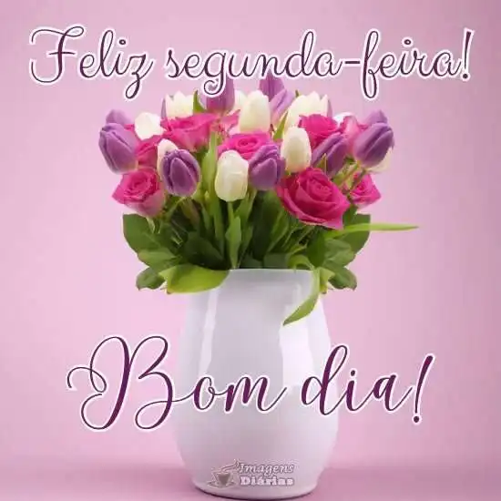 Feliz segunda-feira