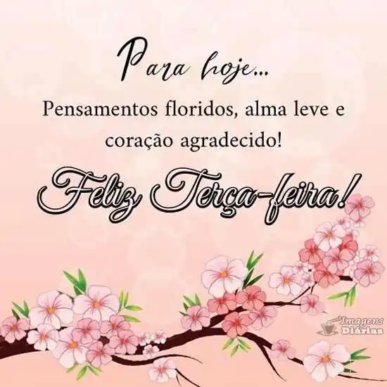 Feliz terça-feira