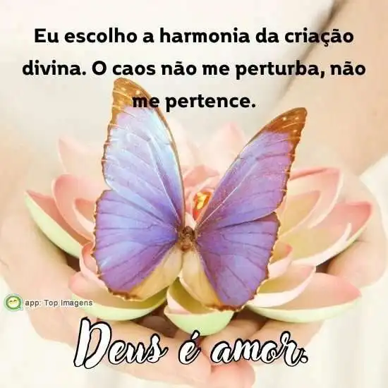 Harmonia da criação divina