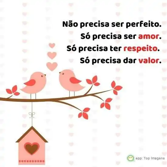 Não precisa ser perfeito