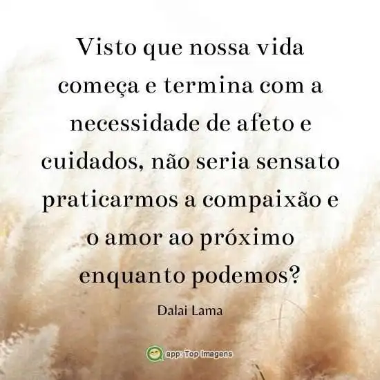 Necessidade de afeto