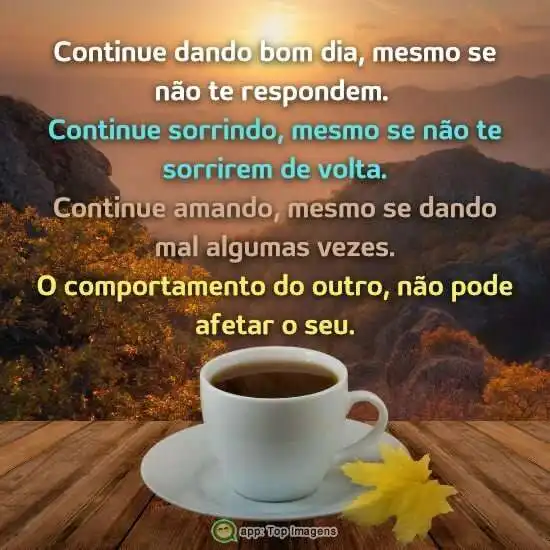 O comportamento do outro