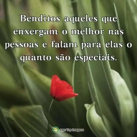 O melhor nas pessoas