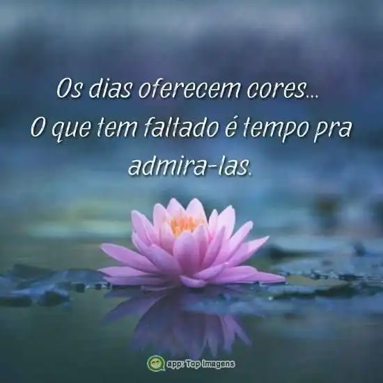 Os dias oferecem cores