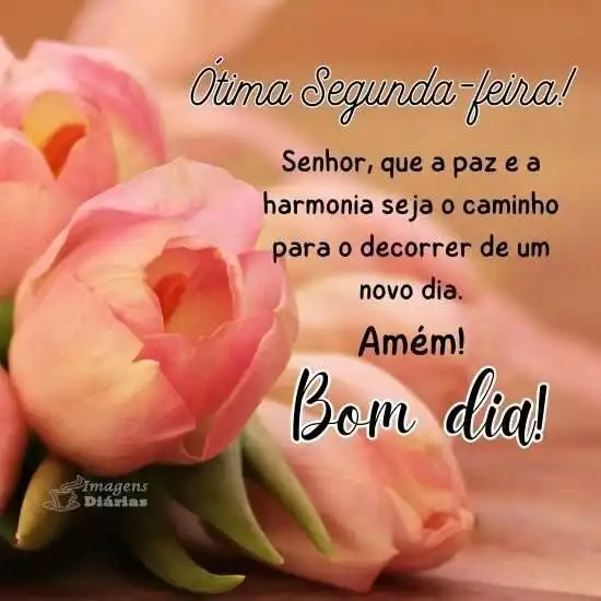 Ótima segunda-feira