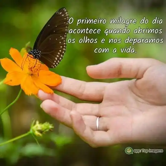 Primeiro milagre do dia