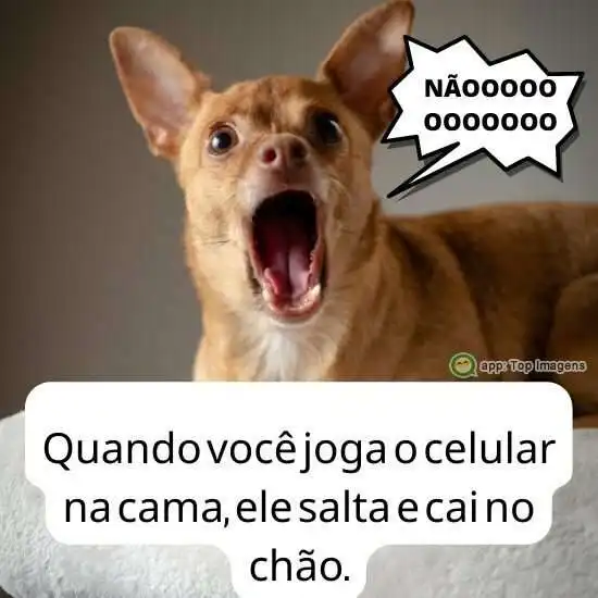 Quando o celular cai no chão