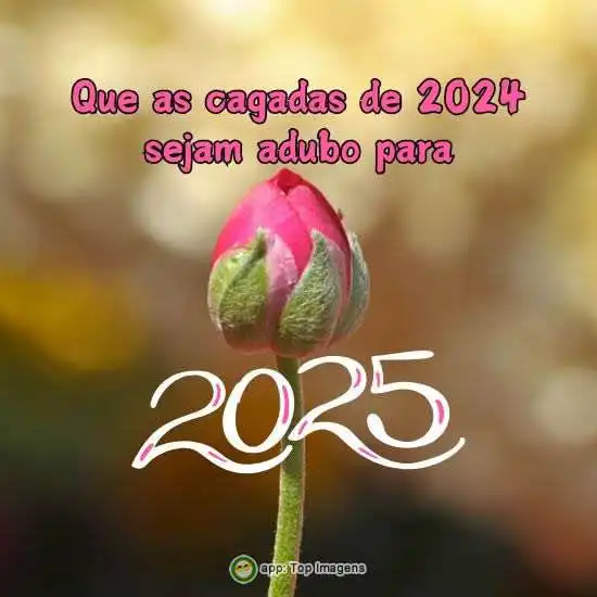 Adubo para o ano novo