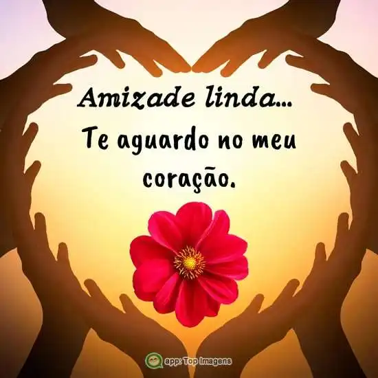 Amizade linda