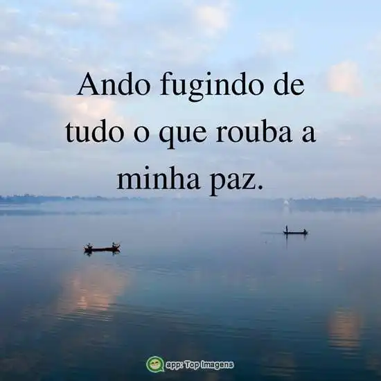 Ando fugindo