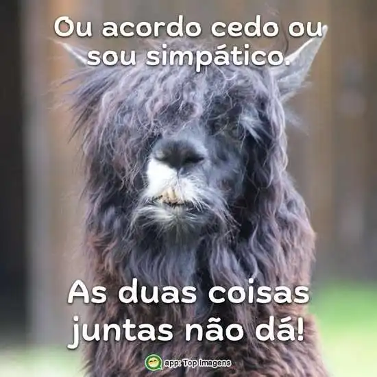 As duas coisas não dá