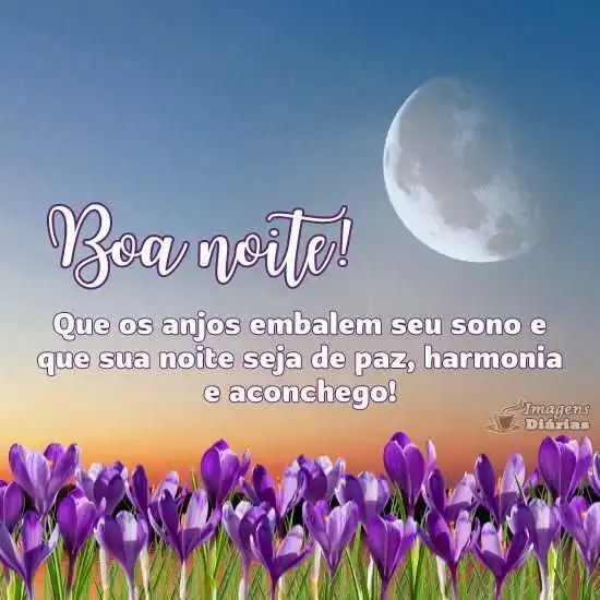 Boa noite