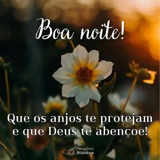Boa noite