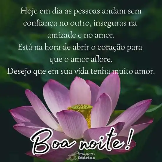 Boa noite