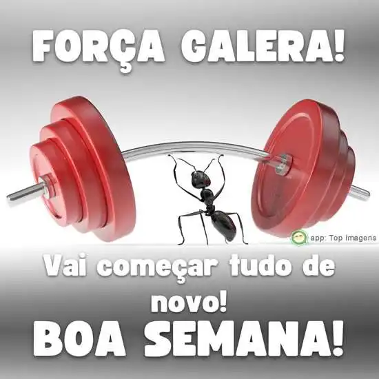 Boa semana