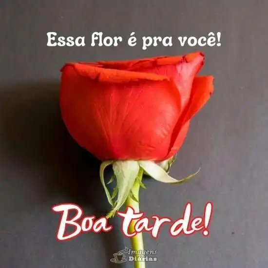 Boa tarde
