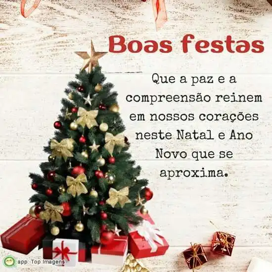 Boas festas