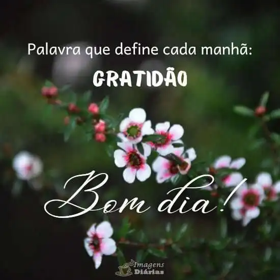 Bom dia