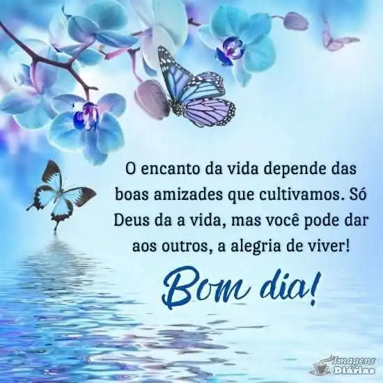 Bom dia - Imagens Diárias - 21092 Bom dia - Imagens Diárias - 21092