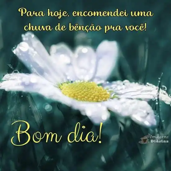 Bom dia