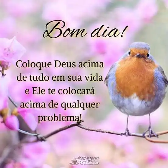 Bom dia