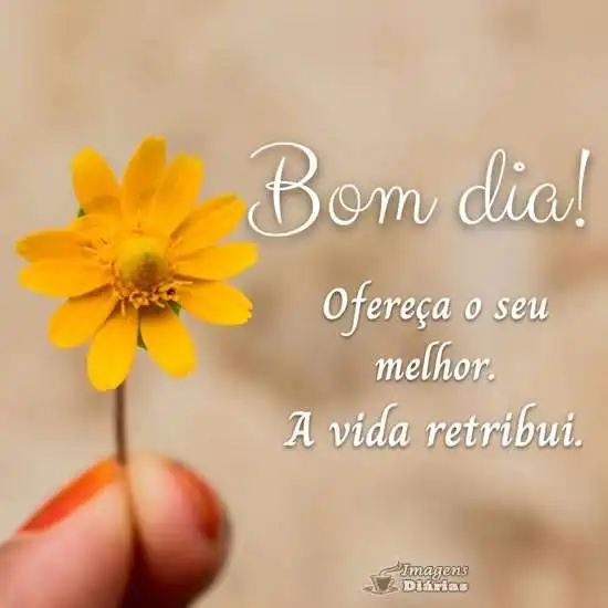 Bom dia