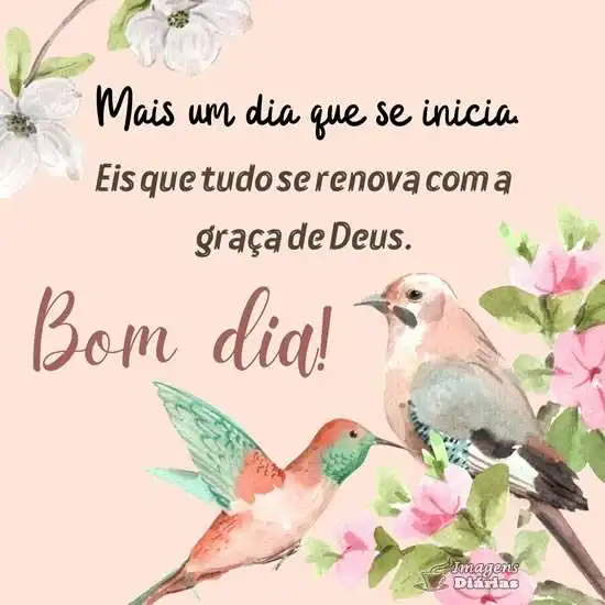 Bom dia