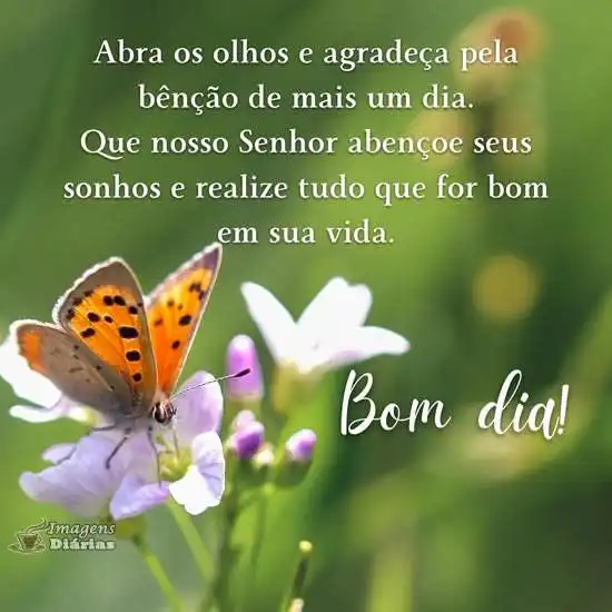 Bom dia